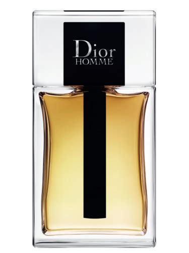 dior homme blouson|christian dior homme 2020.